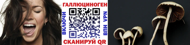 Галлюциногенные грибы Magic Shrooms  где купить наркоту  Ангарск 